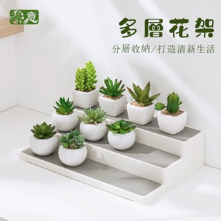 [綠意]現貨 階梯式 盆栽架 多肉植物架 陽臺花架 花盆架 分層收納架 桌面盆栽架 多層花架 客廳桌面辦公室花架