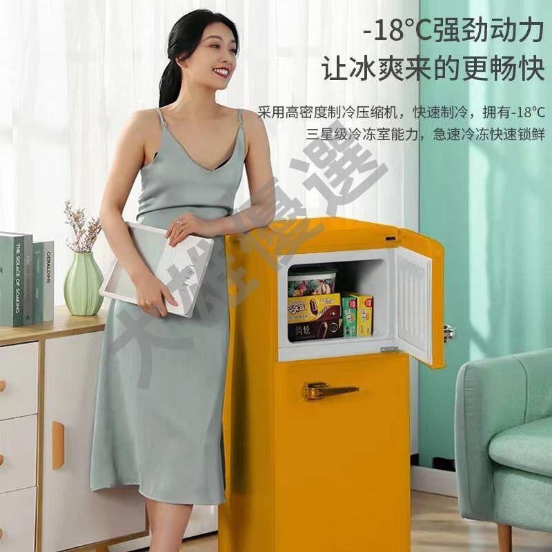 志高(CHIGO)復古冰箱小型彩色冷藏冷凍保鮮母嬰母乳化妝品存儲