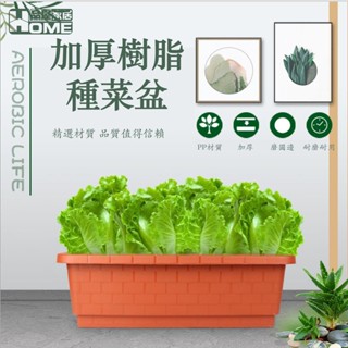 [品屋現貨] 種菜花盆 花盆 長型花盆 長方形花盆 種植箱 長方形種菜盆 加厚PP材質防曬防裂 陽臺戶外種菜花盆