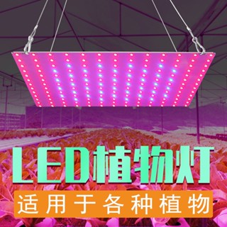 led量子闆植物燈室內超薄全光譜植物生長燈大棚育苗量子闆植物燈&&&*