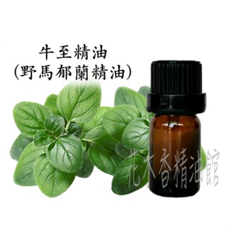 花木香精油館-優惠 牛至精油 / 奧勒岡精油 / 牛至屬精油 / 野馬鬱蘭 精油 / 10ml、30ml、50ml