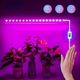 聖誕裝飾產品 USB全光譜生長燈0.5M/1M/3M溫室植物生長燈手掃開關