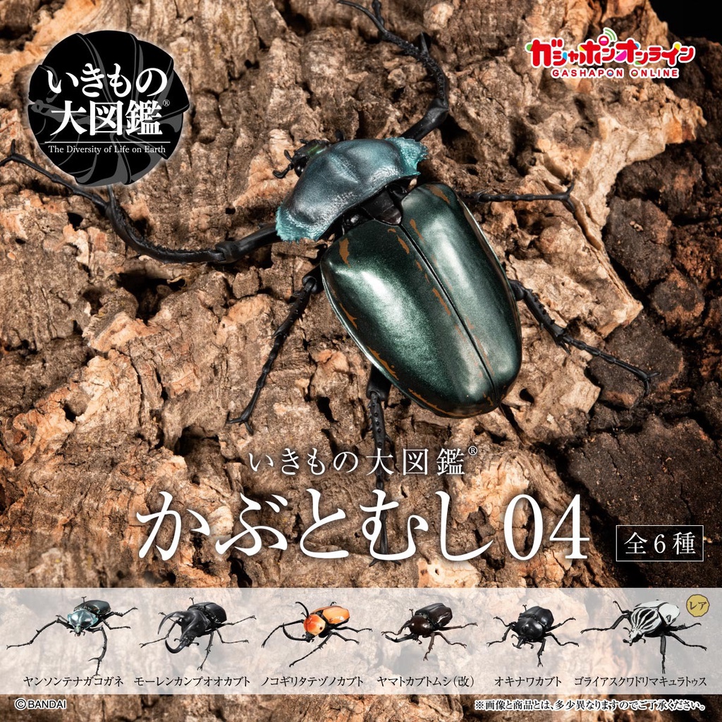 【花花扭蛋】萬代Bandai 扭蛋可動拼裝甲蟲04兜甲大力神大兜獨角仙巨型生物模型