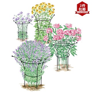 🌵免運🌵花束型植物支架繡球架鐵藝爬藤花架花卉扶植花壇支撐陽臺 可掛鳥籠花架花藝套裝 室內掛式 盆架 花架子 時尚美觀花架