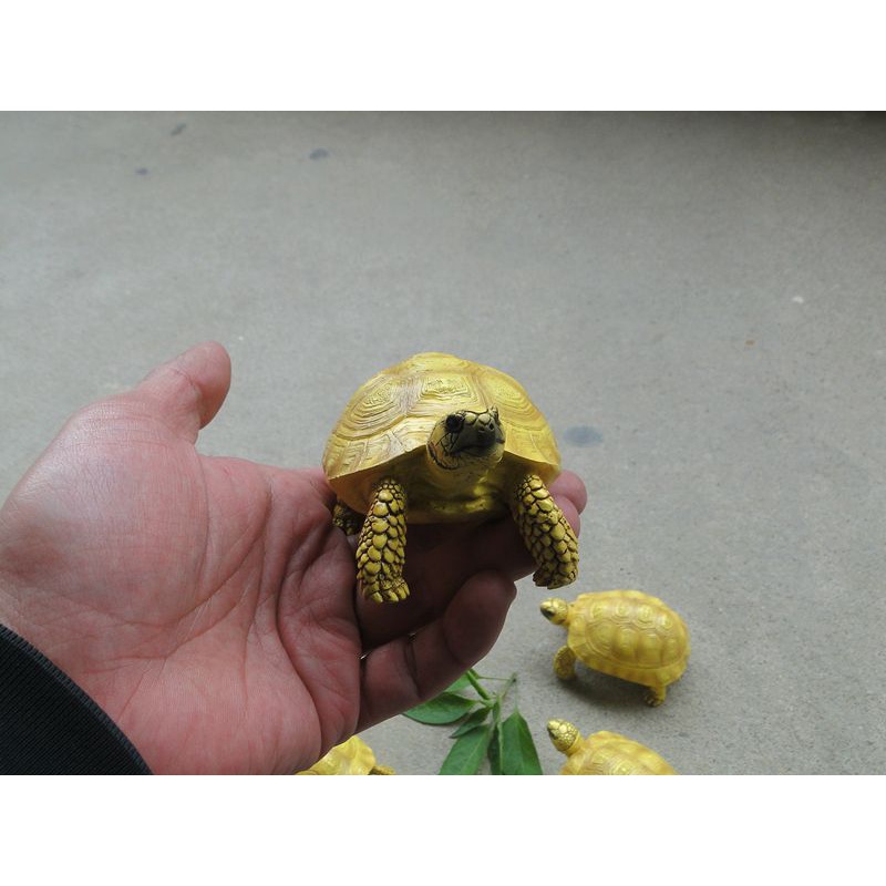(MOLD-B40) 1：1高仿真黃金歐洲陸龜模型 手工實心飾品