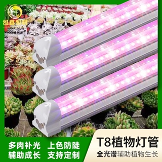 led植物燈管多肉補光燈全光譜通用型 防徒上色大功率36W葉菜多肉