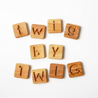 twig by TWIG 多功能蒙特梭利教具 - 英文小寫字母磚