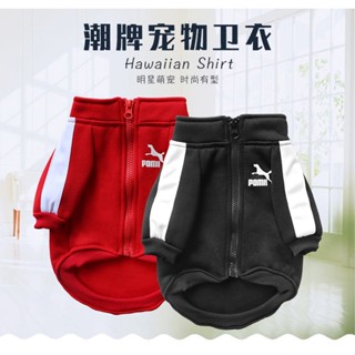 寵物服裝式衣服休閒潮牌衛衣薄絨衣泰迪博美狗衣服運動風寵物拉煉夾克狗狗衣服衛衣貓衣服狗狗衣服