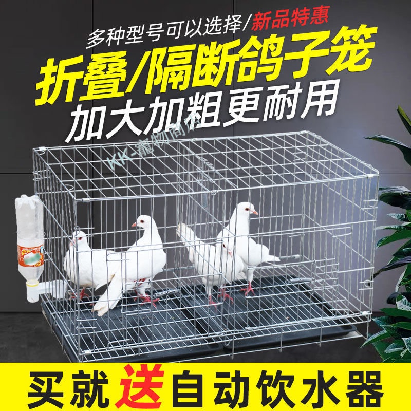 購滿199出貨 雞籠鳥籠 鴿子籠 大號家用折疊帶隔斷配對籠 鴿子用品