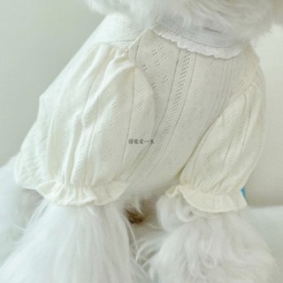 【現貨】可愛寵物衣服 公主風貓衣服 純棉透氣狗狗衣服 春夏透氣舒適狗衣服 中小型犬衣服 貓咪衣服 貓衣服 狗衣服