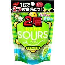 【享吃零食】 日本 NOBEL諾貝爾 SOURS-雙層烏龜造型青葡萄軟糖 雙層烏龜軟糖