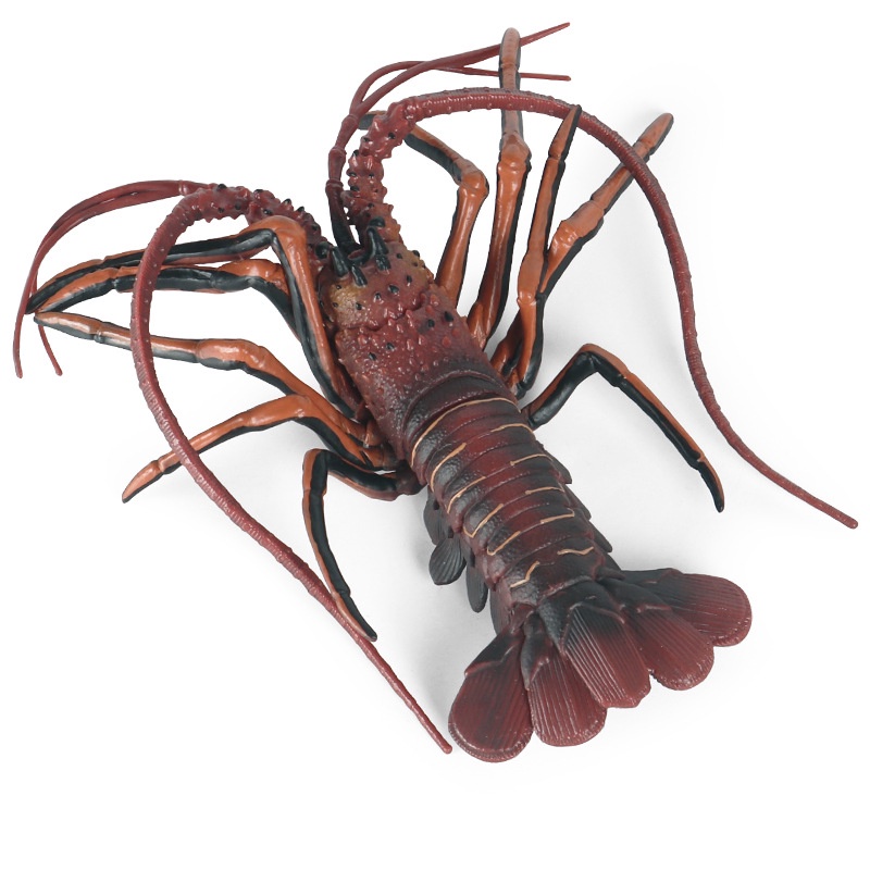 ✌限时熱銷✌仿真海洋動物龍蝦模型 實心澳洲龍蝦兒童認知動物玩具裝飾擺件手辦 桌面裝飾擺件 科教認知模型玩具
