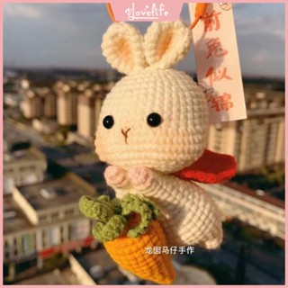 [Vlovelife]臺灣出貨 毛線材料包 手作鈎織 手工編織 DIY 玩偶 包包 針織 手工毛線編織吉祥寓意前途似錦徒