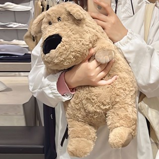 大鼻狗狗公仔 兒童毛絨玩具 可愛睡覺抱枕 超軟布娃娃 胖狗狗🐶 布偶 抱枕 生日禮物