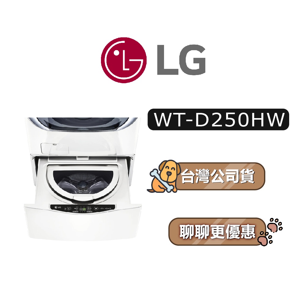 【可議】 LG 樂金 WT-D250HW 2.5公斤 蒸洗脫 洗衣機 冰磁白 D250HW WTD250HW