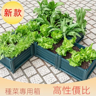 🌷免運🌷家庭陽臺種菜盆 蔬菜種植箱 30寬天台樓頂種菜箱神器 花箱 花盆塑膠 花盆 種菜盆 陽臺種菜 種菜神器 盆栽架