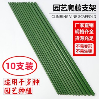 限時折扣👍 熱賣免運🤩樓頂花園爬藤架庭院植物豆角黃瓜爬藤桿牽引固定包塑鋼管園藝支架 拚接花架