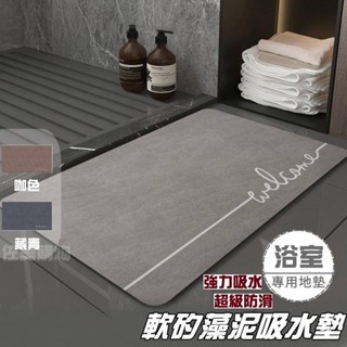［現貨速發］正品軟矽藻土浴室吸水墊 地毯地墊 浴室防滑吸水地毯地墊 進門地毯地墊 浴室吸水地毯 腳踏墊