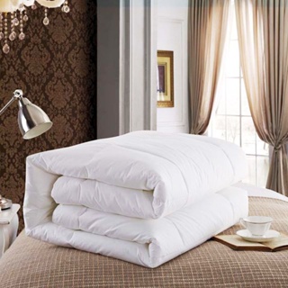 五星級酒店雙人空調被芯賓館床上用品春秋被白色整張羽絲被子冬被