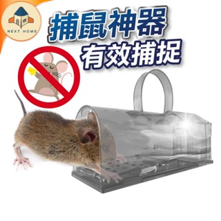 【臺灣現貨】鼠洞式捕鼠器 捕鼠器 捕鼠籠 抓老鼠 捕鼠神器 滅鼠 驅鼠 老鼠籠 老鼠夾