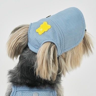 Puppy Gallery🇰🇷 果凍熊遮陽帽 天空藍 狗狗涼感帽 狗狗帽子 寵物帽