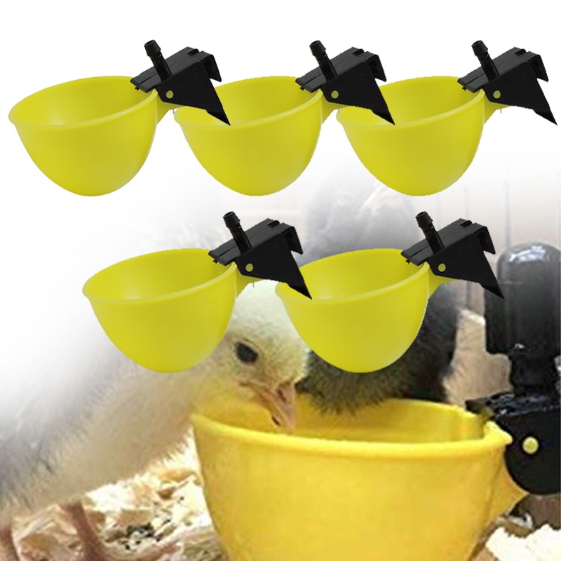 5 件塑料雞飲水碗帶三通 6 毫米家禽飲水杯小雞鵪鶉鳥自動雞飲水器