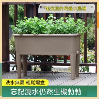 【開立發票】陽臺種植箱2023新款種植盆高腳長方形花盆樓頂花箱種菜神器蔬菜菜