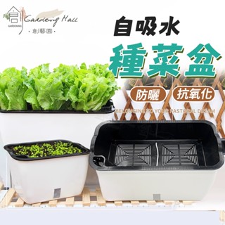 🔥超值優惠價🔥種菜盆 自動吸水花盆 超大號種植箱 蓄水花盆 懶人花盆 免澆水花盆 長型花盆 種植盆栽 種花種草莓