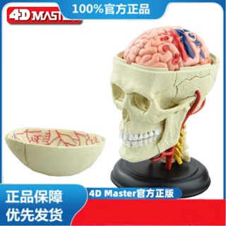 (MD-E8) 正版 4D MASTER 益智拼裝玩具 人體頭骨器官解(可開發票)