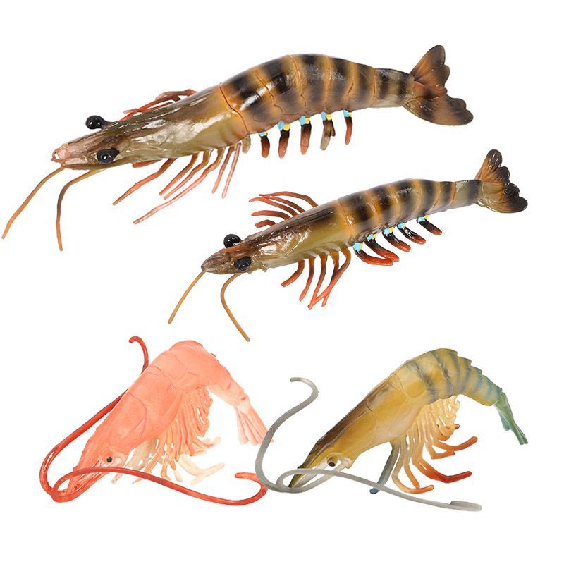 ✌限时熱銷✌仿真海洋動物蝦模型 虎蝦斑節對蝦青蝦河蝦兒童認知教具擺件玩具