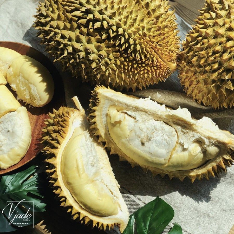 【現貨/預購】干堯榴槤/金枕頭榴槤/貓山王榴槤 Durian 泰國/越南 快速出貨 單顆/一箱 鮮果綠品質保證