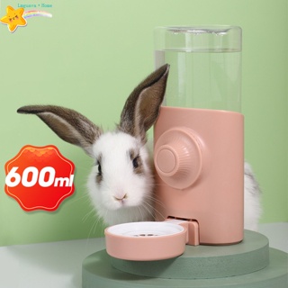 Lmg 兔子飲水機自動大容量虹吸餵食水壺寵物用品倉鼠豚鼠龍貓