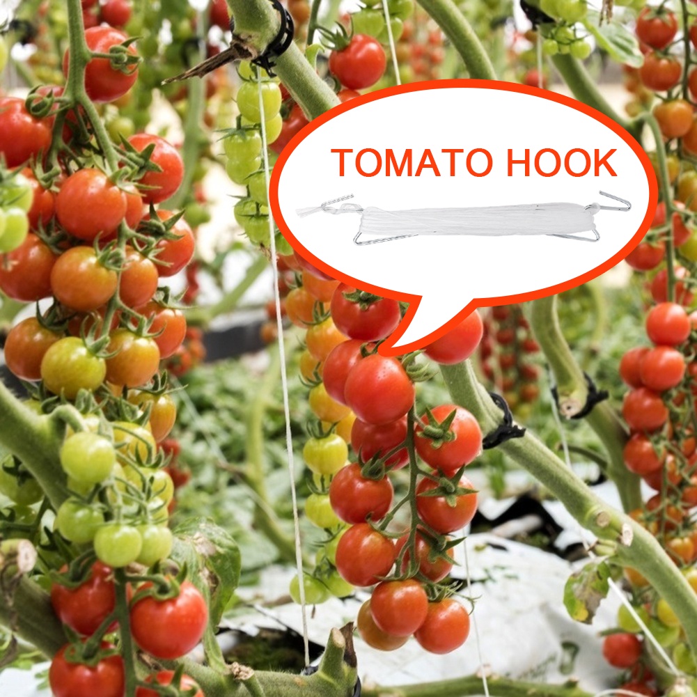 [現貨] 番茄植物架活頁夾防擠壓鉤尼龍鐵蔬菜夾