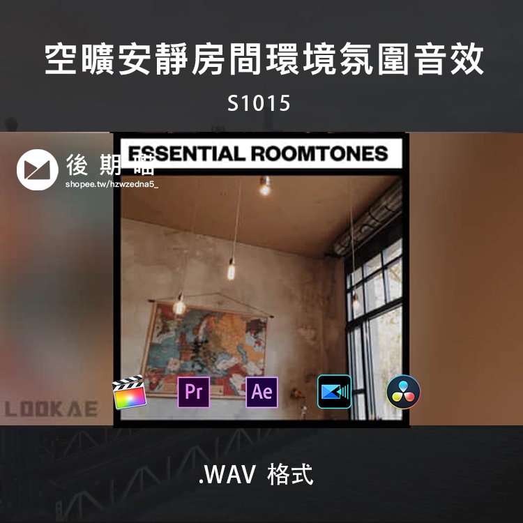 空曠安靜房間環境氛圍無損音效 Essential Roomtones