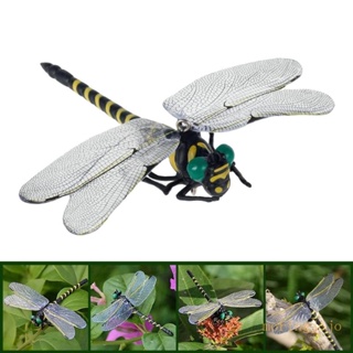 Jojo炫彩仿蜻蜓防蟲驅蚊用品戶外掛釣野營模型廣告用
