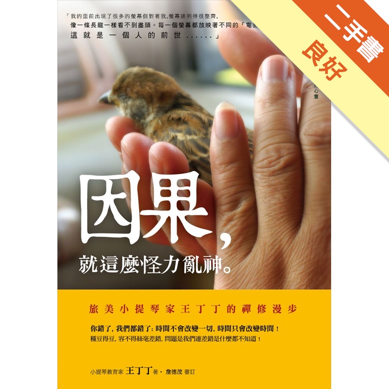 因果，就這麼怪力亂神。小提琴家王丁丁的禪修漫步[二手書_良好]11314666226 TAAZE讀冊生活網路書店