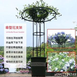 園藝傘形花架 爬藤架 月季鐵線蓮攀藤蘑菇薔薇花架 綠植支架桿戶外