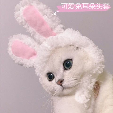 【巴巴】【48小時內發貨】抖音網紅寵物貓咪兔子耳朵頭套保暖帽子可愛搞怪拍照頭飾
