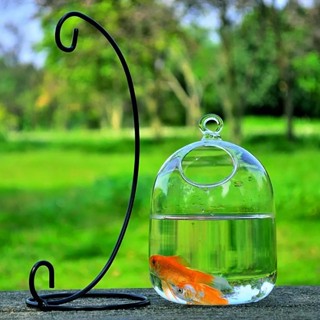 家居裝飾擺件玻璃瓶魚缸碗帶支架黑色鐵藝支架辦公桌掛水晶透明花店銷售場迷你水族箱