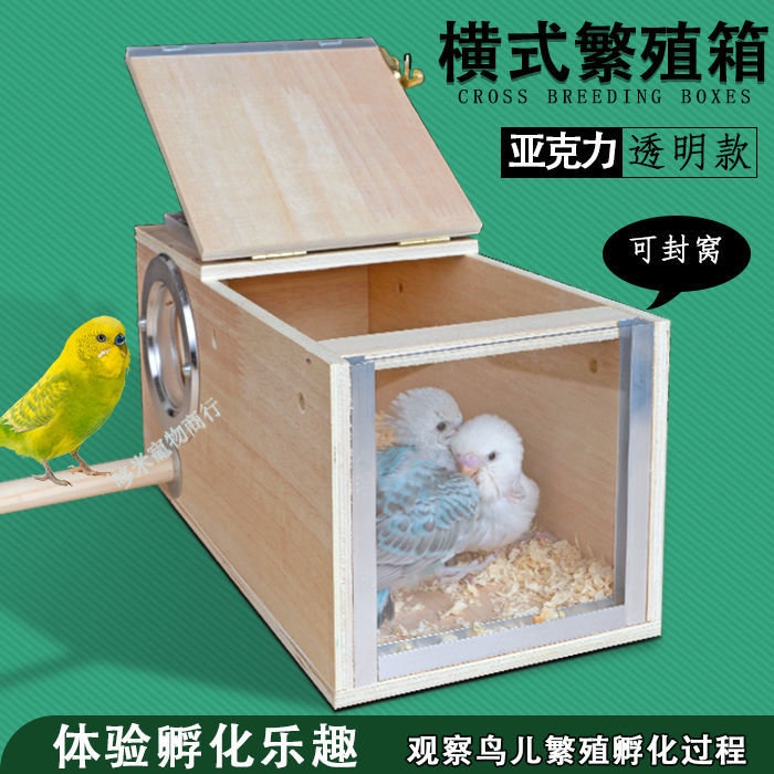 亞克力 透明鸚鵡箱 玄鳳虎皮牡丹鳥類專用 孵化箱 鳥巢箱 鳥房掛窩