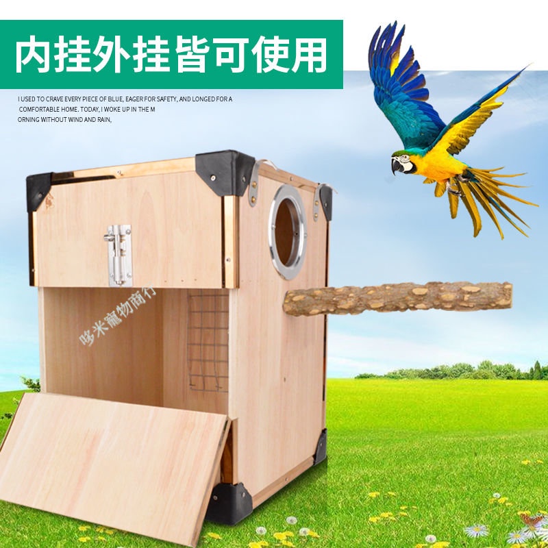 大型鳥鸚鵡箱 金太陽和尚灰鸚鵡 凱克折衷防咬鳥用巢箱.