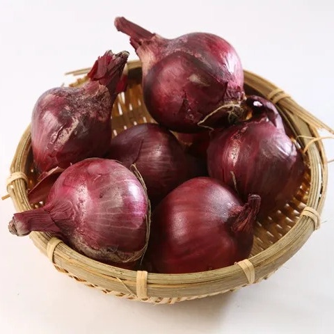 力新有機紫洋蔥 500g~600g 紫洋蔥 洋蔥 涼拌 沙拉 有機認證 天然 生機飲食【鮮物良品】