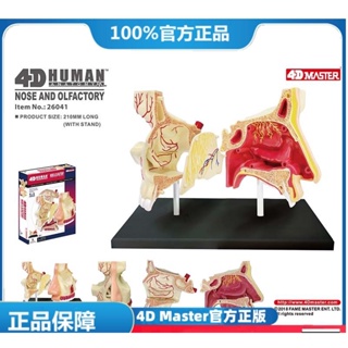 (MD-E6) 正版4D Master益智拼裝玩具人體鼻腔器官解剖(可開發票)