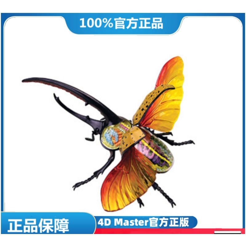 (MD-E50) 4D Master益智拼裝玩具仿真動物生物大力士甲(可開發票)