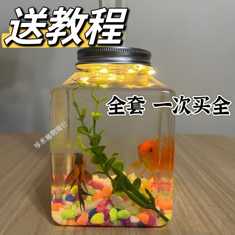 購滿199發貨 網紅塑料 方形斗魚罐 罐 魚瓶子 生態微景材料 小魚缸 擺攤神器 夜市批發