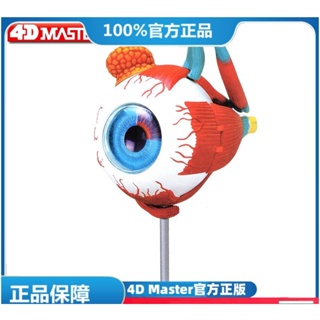 (MD-E11) 正版 4D MASTER 益智拼裝玩具 人體眼球器官(可開發票)