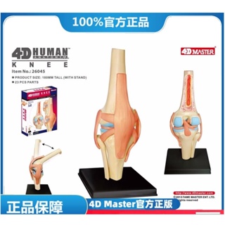 (MD-E2) 4D Master益智拼裝玩具人體膝關節器官解剖模(可開發票)