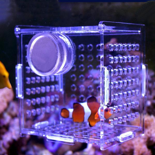磁吸式海水缸隔離盒 專業亞克力魚缸隔離盒 孵化盒 繁殖盒 水族用品訂製A51