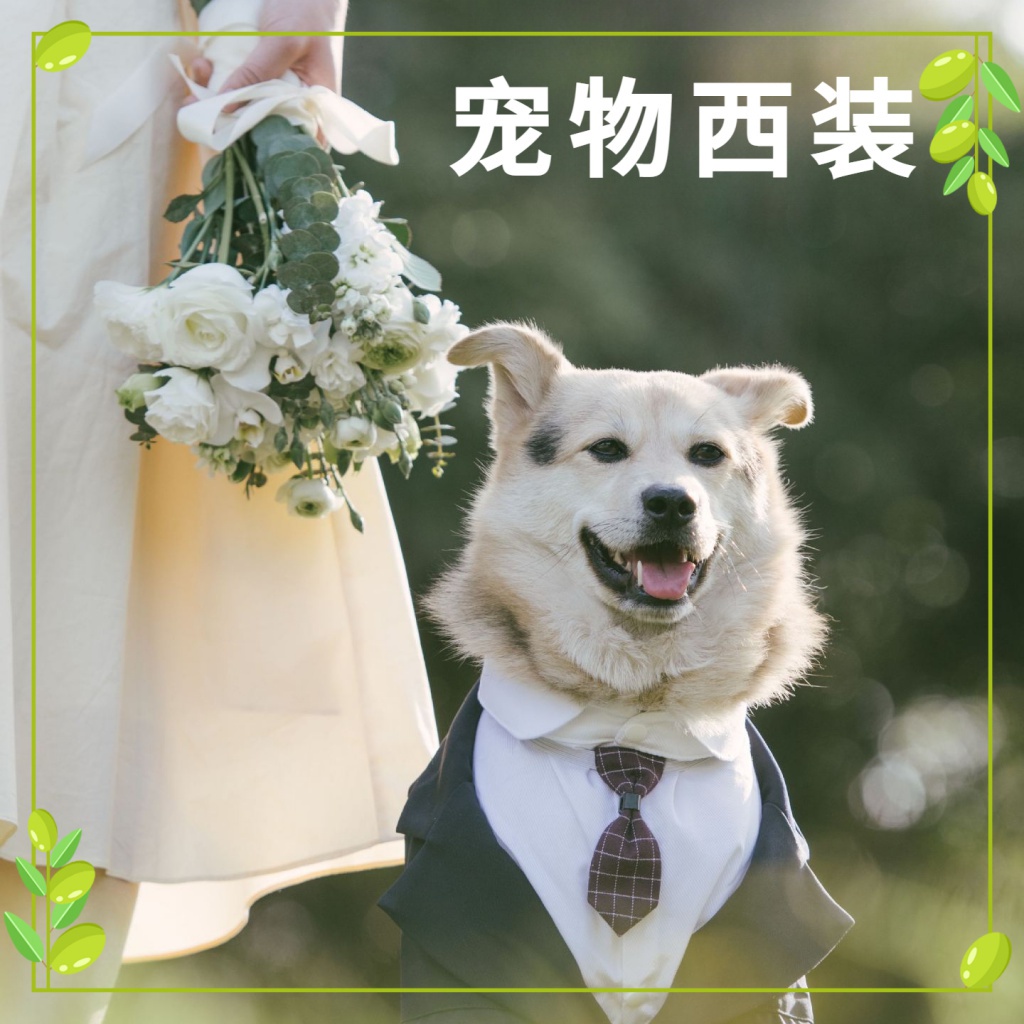 【Muhsinpet】寵物西裝狗狗禮服燕尾服 結婚寵物禮服 假兩件套帶領帶套裝