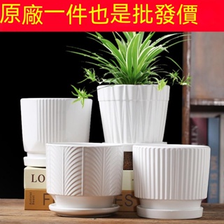 花盆陶瓷創意大號帶托盤家用綠蘿多肉花盆白色植物小花盆